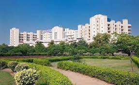 Apollo – Delhi